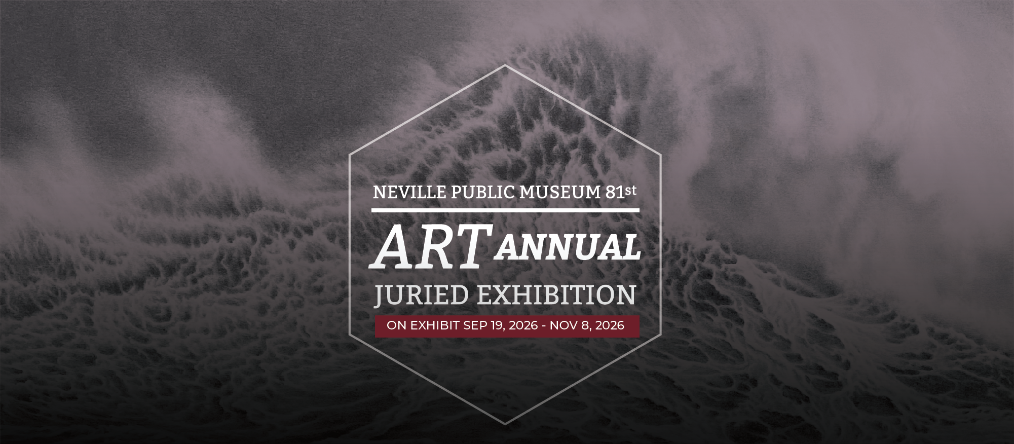 81st Neville Public Museum Art Annual
